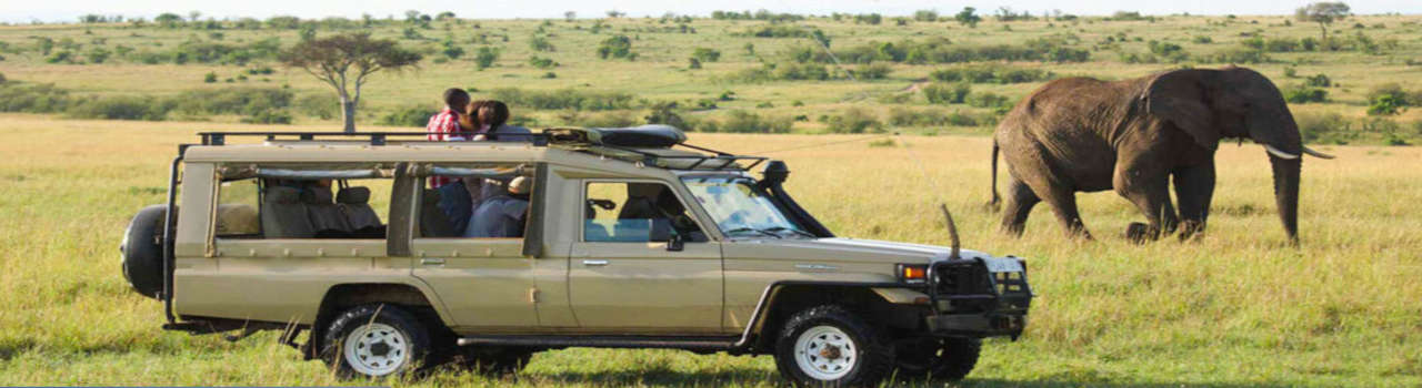 Day Tour In Tarangire National Park