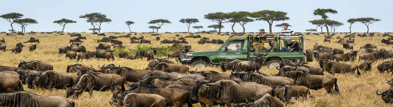 Serengeti National Park And Ngorongoro Crater