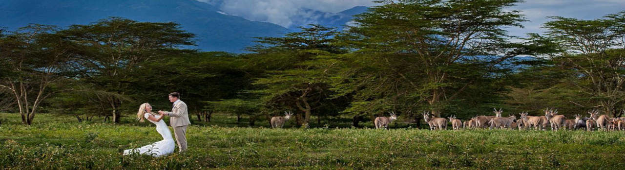Visit Serval Wildlife Sanctuary