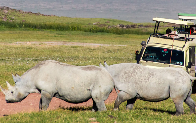 Serengeti To Ngorongoro Conservation Area photo