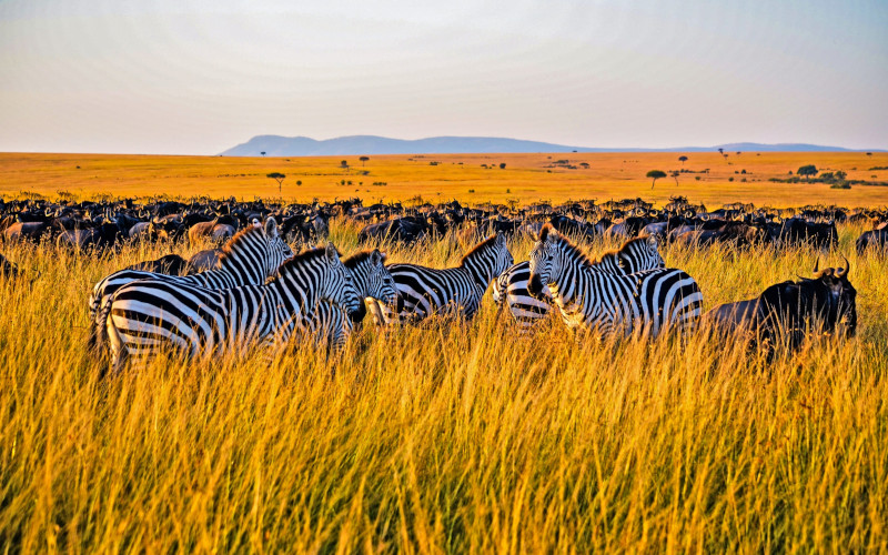 Day Tour In Tarangire National Park photo