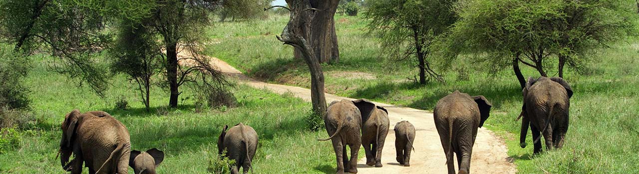 2 Days Tarangire & Ngorongoro Crater